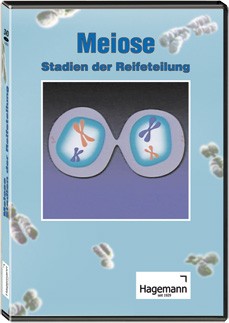 DVD: Meiose - Stadien der