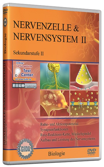 DVD: Nervenzelle & Nervensystem II