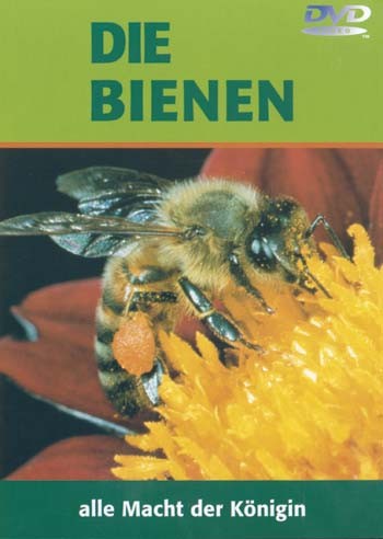 DVD: Die Bienen