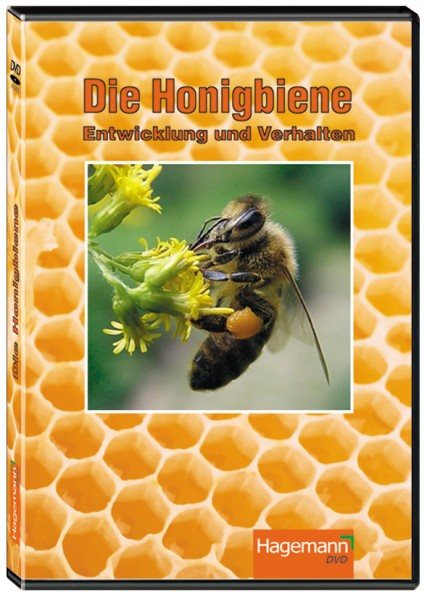 DVD: Die Honigbiene - Entwicklung