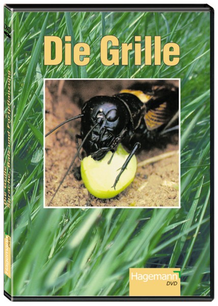 DVD: Die Grille