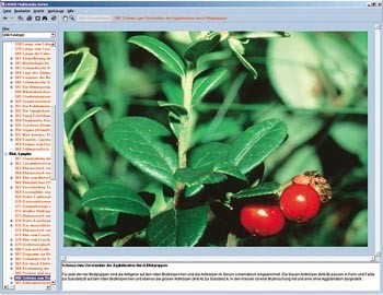 CD-ROM: Die Biologie der Blüten und