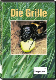 DVD: Die Grille