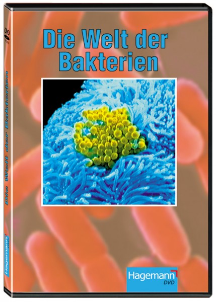 DVD: Die Welt der Bakterien