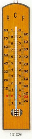 Schul-Thermometer RCF