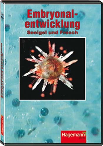 Video: Embryonalentwicklung: