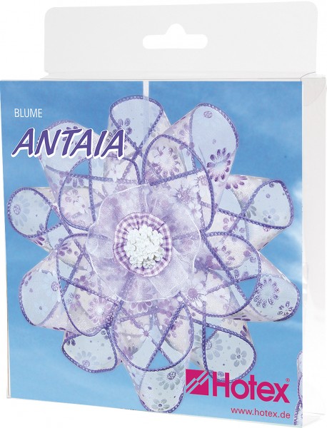 Bänder-Blume Antaia lila