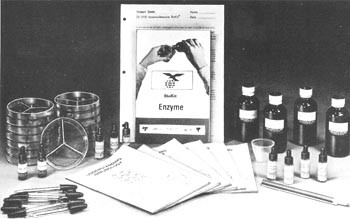 Die Verdauung, Enzym-Kit