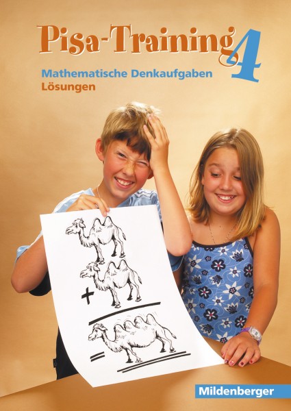 Pisa-Training 4, Lösungen