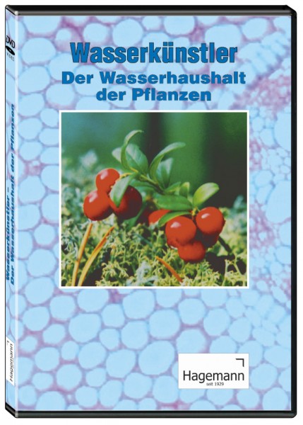 DVD: Wasserkünstler - Der Wasser-