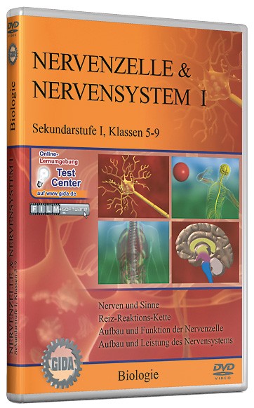DVD: Nervenzelle & Nervensystem I