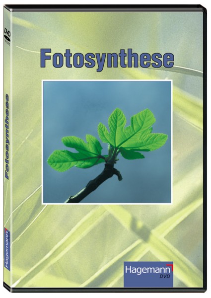 DVD: Fotosynthese