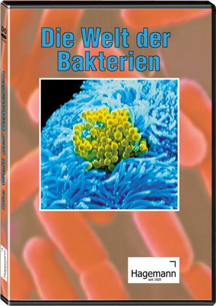 DVD: Die Welt der Bakterien