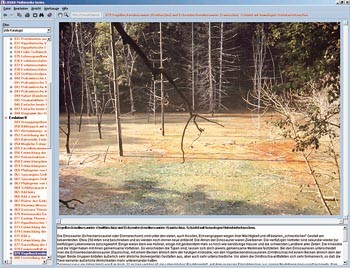 CD-ROM: Der Wald als Lebenraum