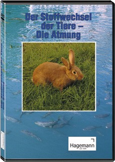 DVD: Der Stoffwechsel der Tiere