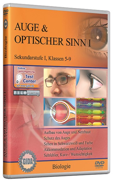 DVD: Auge & optischer Sinn I