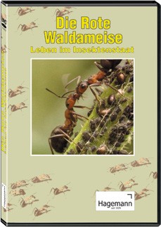 DVD: Die rote Waldameise - Leben