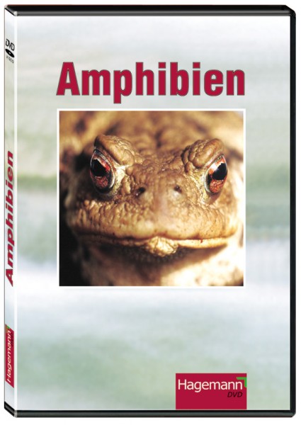 DVD: Amphibien