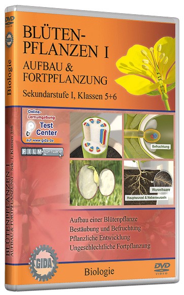 DVD: Blütenpflanzen I - Aufbau und