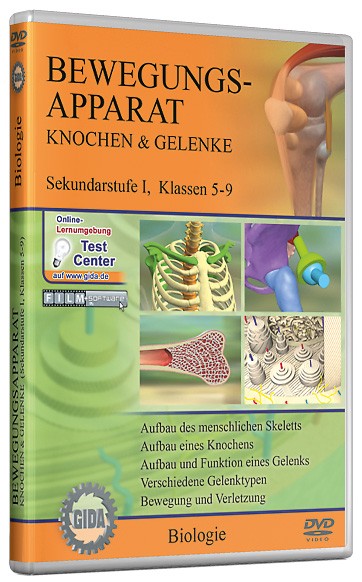 DVD: Bewegungsapparat - Knochen &