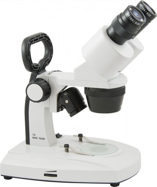 Schüler-Stereomikroskop