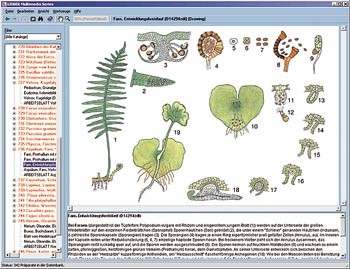 CD-ROM: Pflanzenkunde im Unterricht
