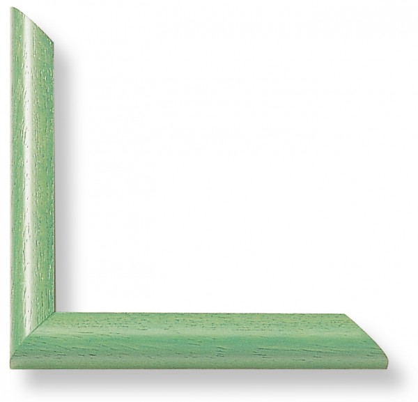 Poster-Rahmen 13 x 18 cm grün