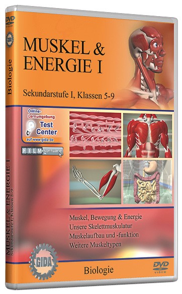 DVD: Muskel & Energie (Sek. I)