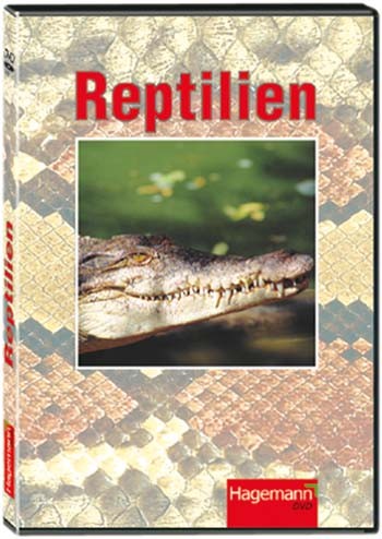 Video: Reptilien