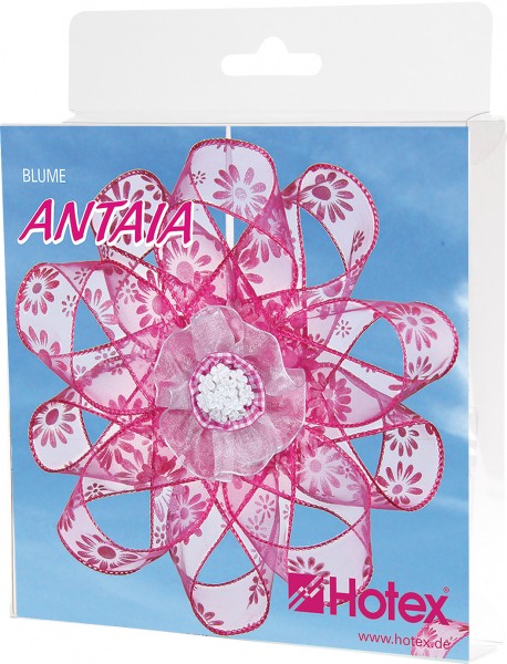 Bänder-Blume Antaia pink