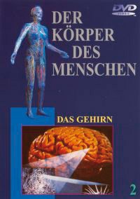 DVD: Das Gehirn