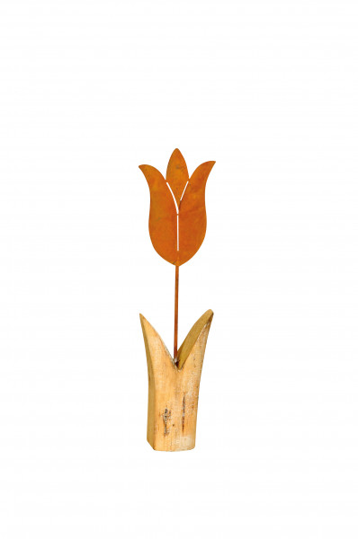 Tulpe (Rost)