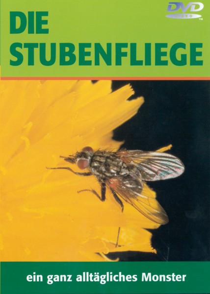 DVD: Die Stubenfliegen