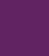 Tempera Puck 44 mm mauve