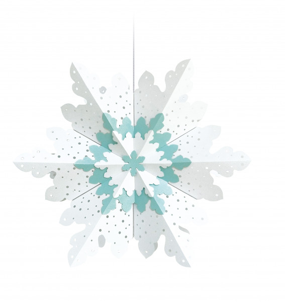 Weihnachtsstern ”Winter Star”