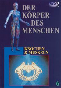 DVD: Knochen & Muskeln