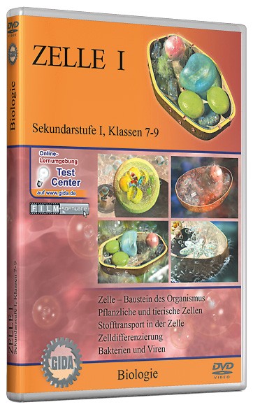 DVD: Zelle I (Sek.I)