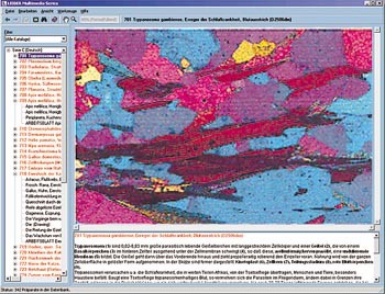 CD-ROM: Die Struktur der Materie