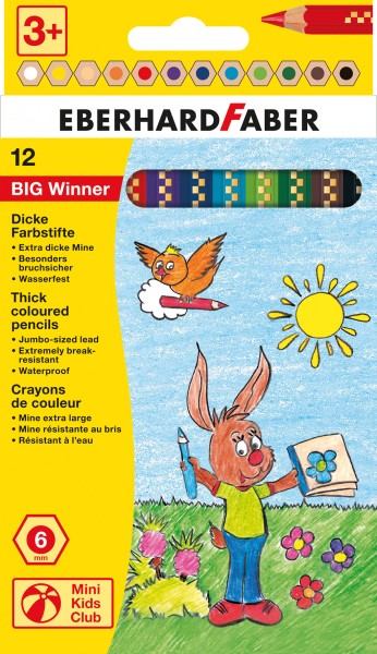 Big Winner Farbstift 12er Karton-