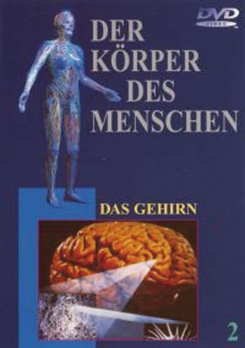 DVD: Das Gehirn