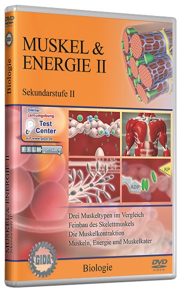 DVD: Muskel & Energie II (Sek. II)