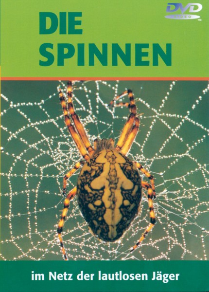 DVD: Die Spinnen