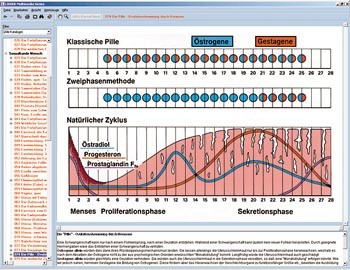 Hormone, Hormonsysteme und