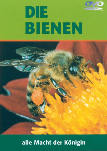 DVD: Die Bienen